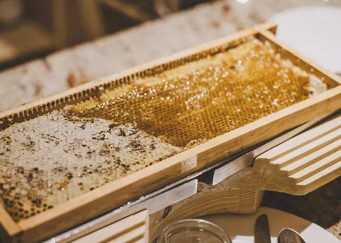 Enzian - Adults Only Обертауэрн